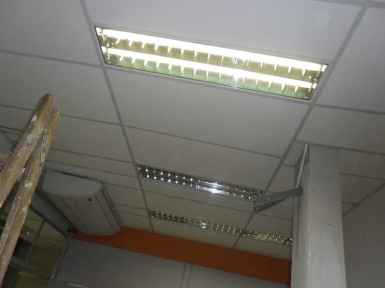 WhatsApp Image 2026-01-17 at 10.24.00 (2)