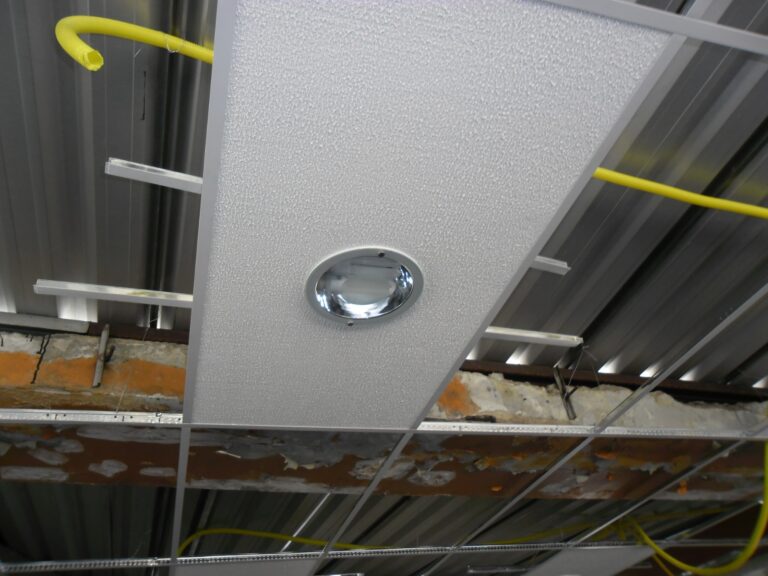 WhatsApp Image 2026-01-17 at 10.24.01