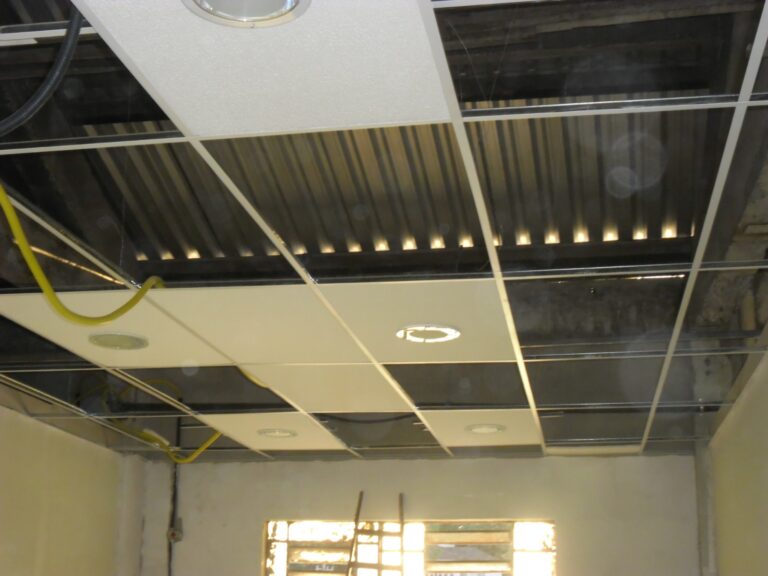 WhatsApp Image 2026-01-17 at 10.24.03 (1)